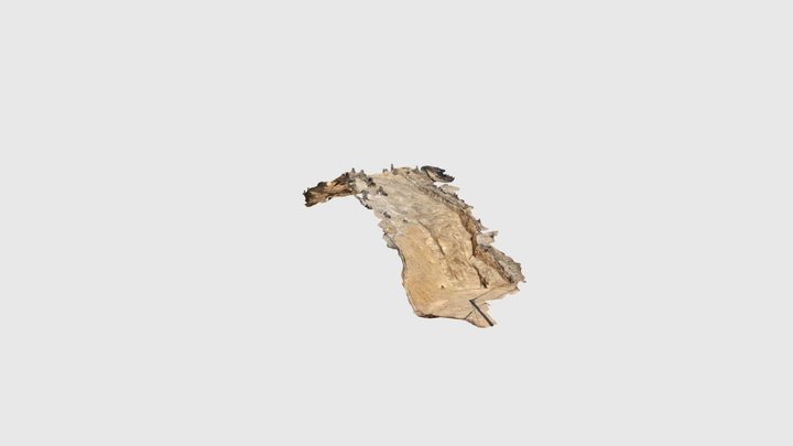 宝満山遺跡第46次調査 3D Model