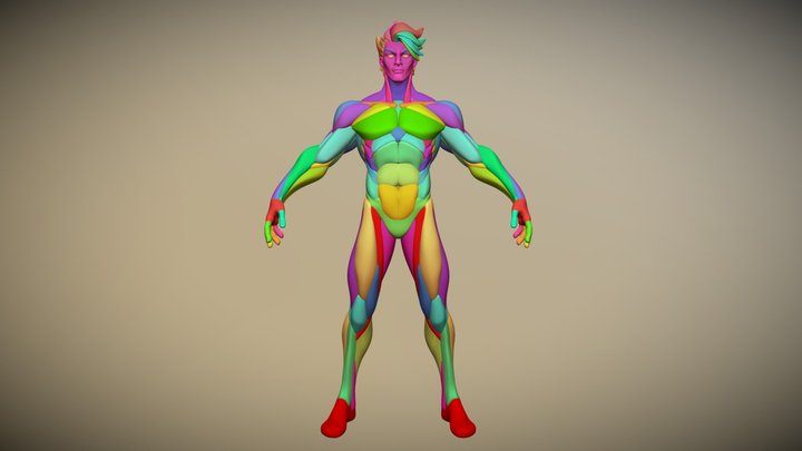 Warrior Stylized Anatomy V1 3D Model