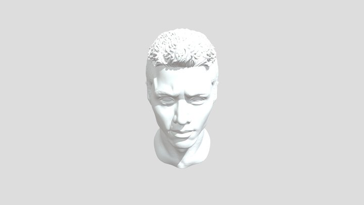 Bust 3D Model
