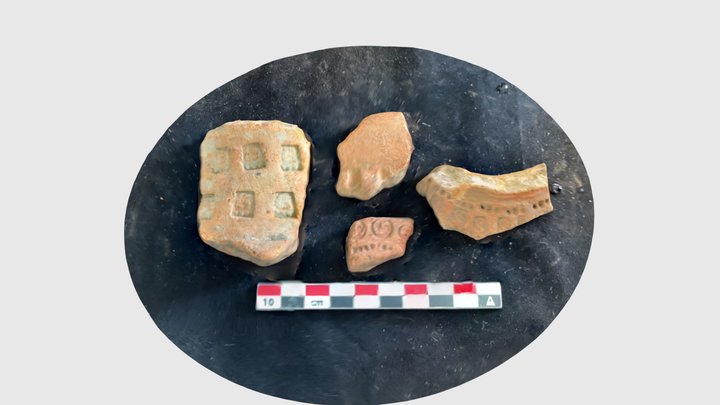 Turneffe Group stamped sherds 3D Model