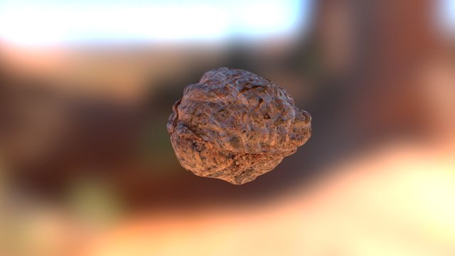 Desert Rock 3D Model