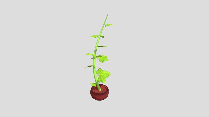 plantdvgoed 3D Model