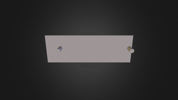 Site01 Main Roots 3D Model