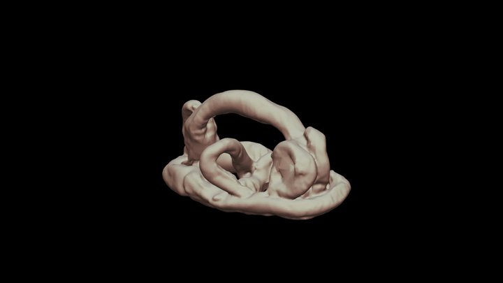 Model (arches) created by Penny at a Memory Cafe 3D Model