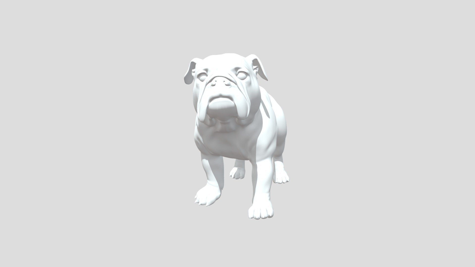 Bulldog - Download Free 3D Model By Cameron (@watermeloncat556 ...