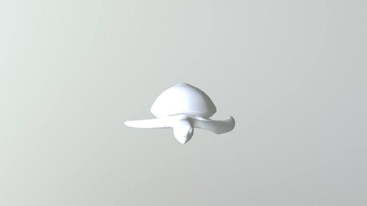 Turtle Animation 3D Model