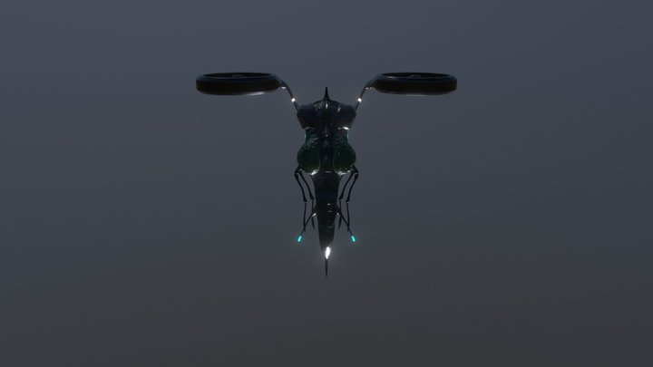 Regnier Steven B2C1 3D Model