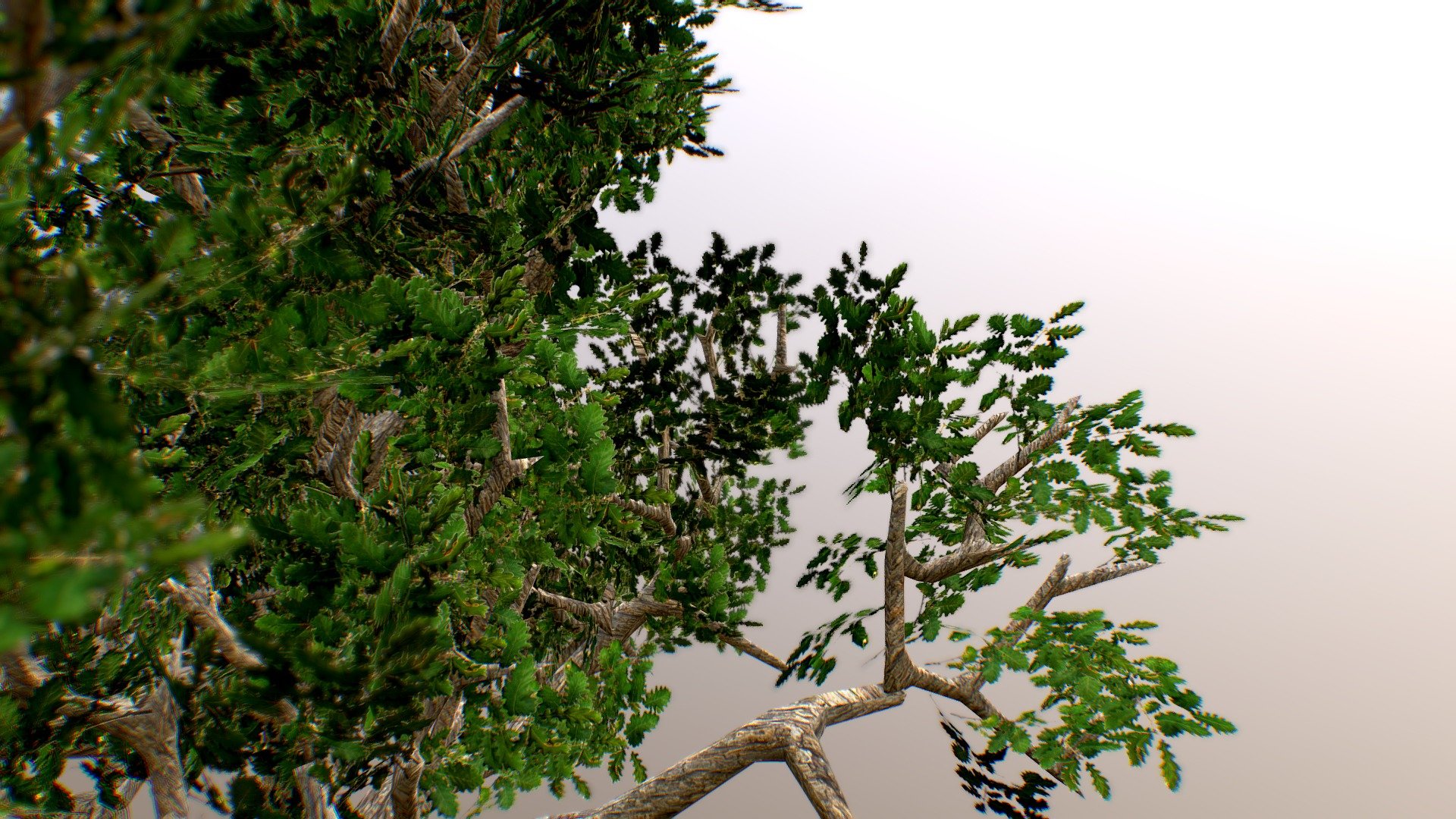Tree 3