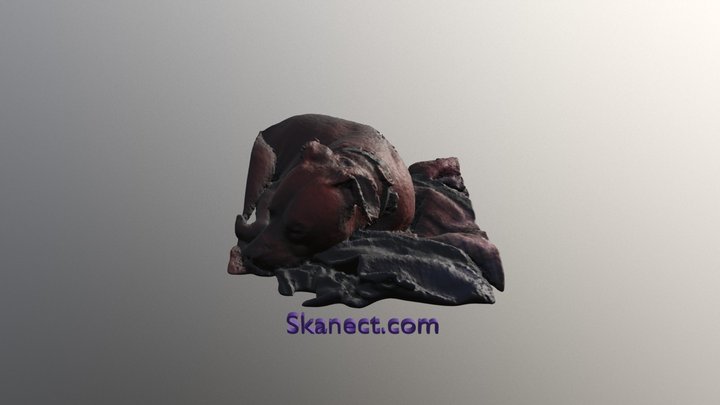 rascal3 3D Model