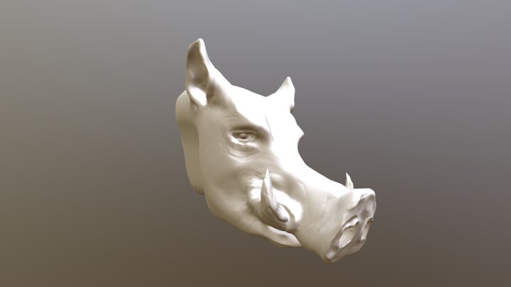Wild Boar Muzzle 3D Model