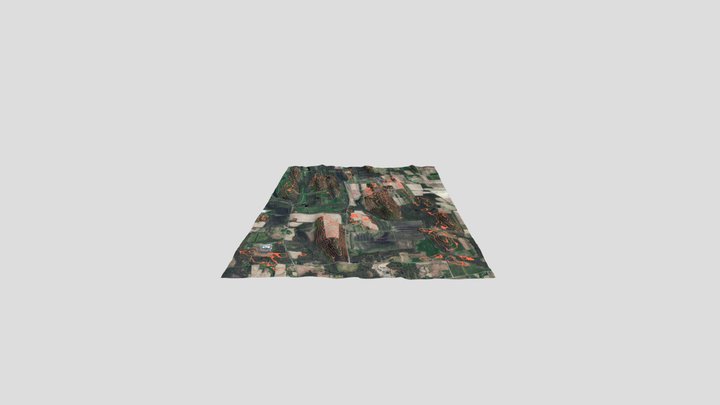 Drumlin Field 3D Model