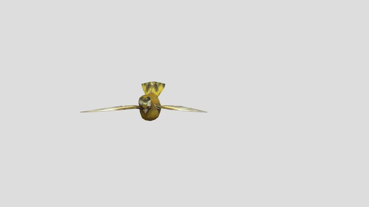 birdFLY 3D Model