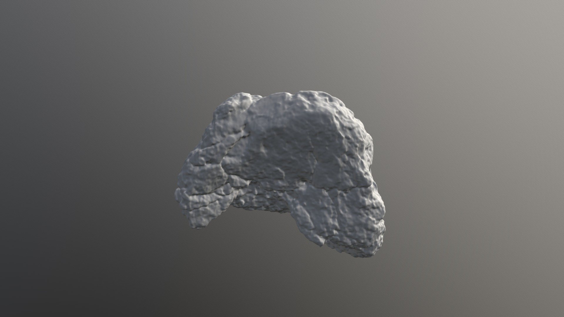 UMNHVP28350 Invictarx Proximal Right Radius - Download Free 3D model by ...
