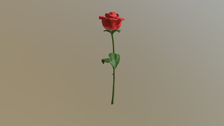 Red Rose Sculpt 3D Model