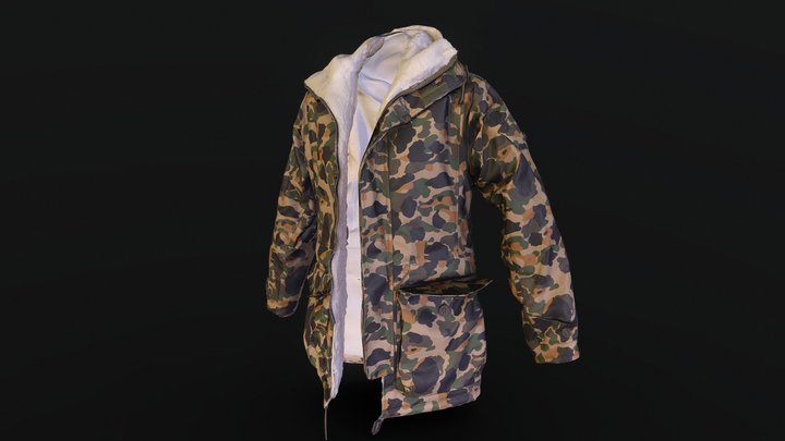 fti1 3D Model