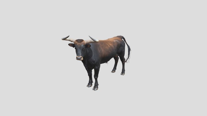 Bull_ Animal_3d_ Model_ Free