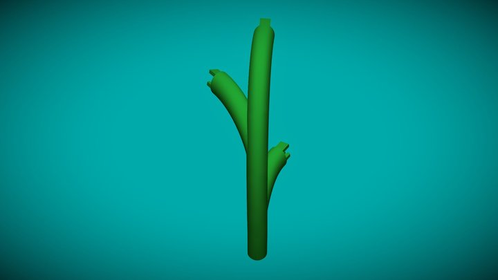 PLANTE RGB BRANCHE 3D Model