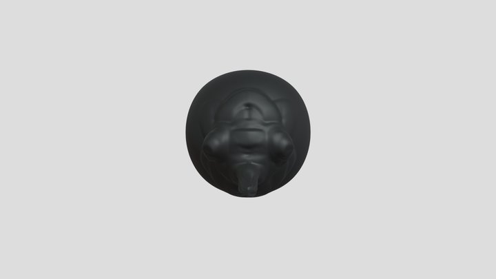 My model 3D Model