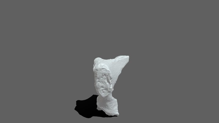VR08 3D Model