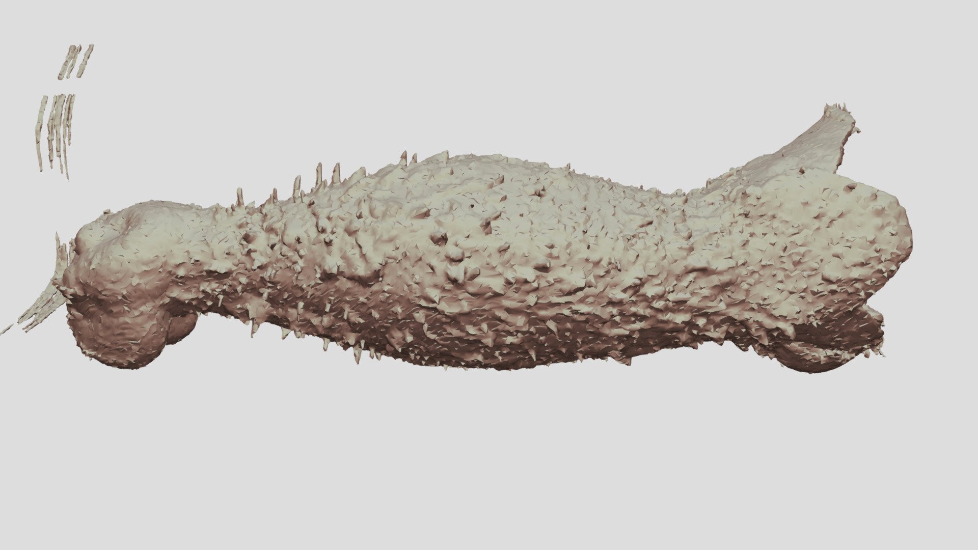 Sinningia sellovii corolla
