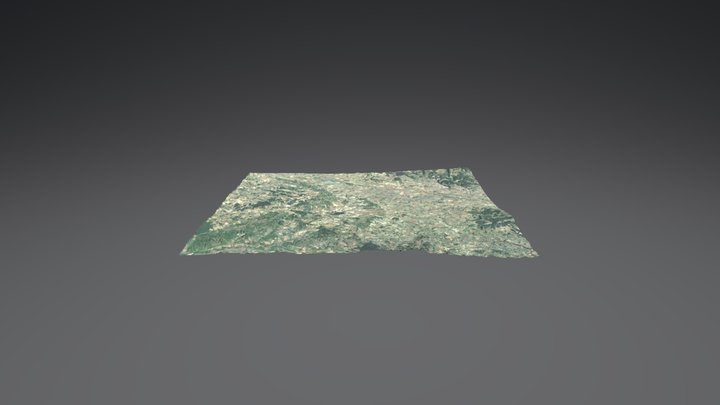 Gaja La Selve 3D Model