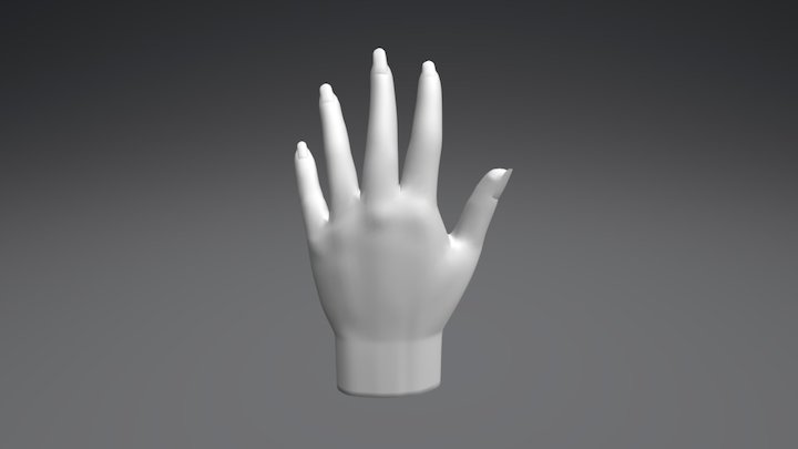 Hand 3D Model