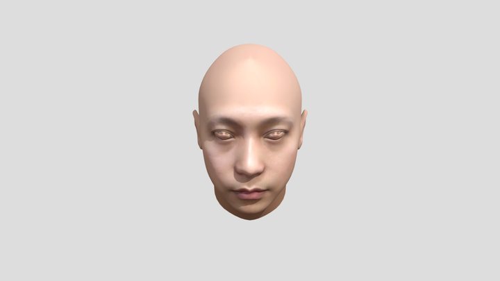 Human Head | Wael Tsar 3D Model
