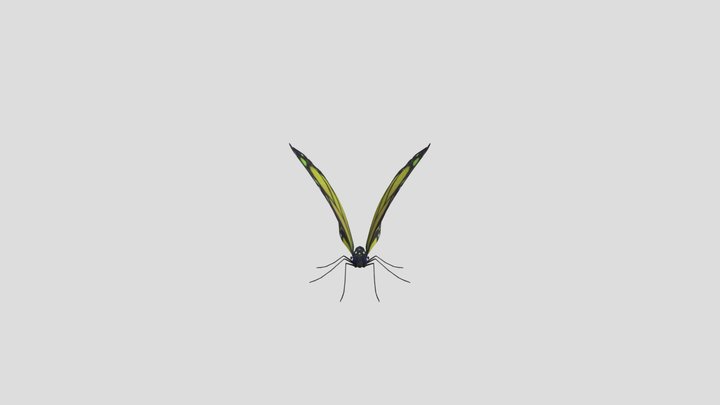 Yellow Joy Butterfly 3D Model