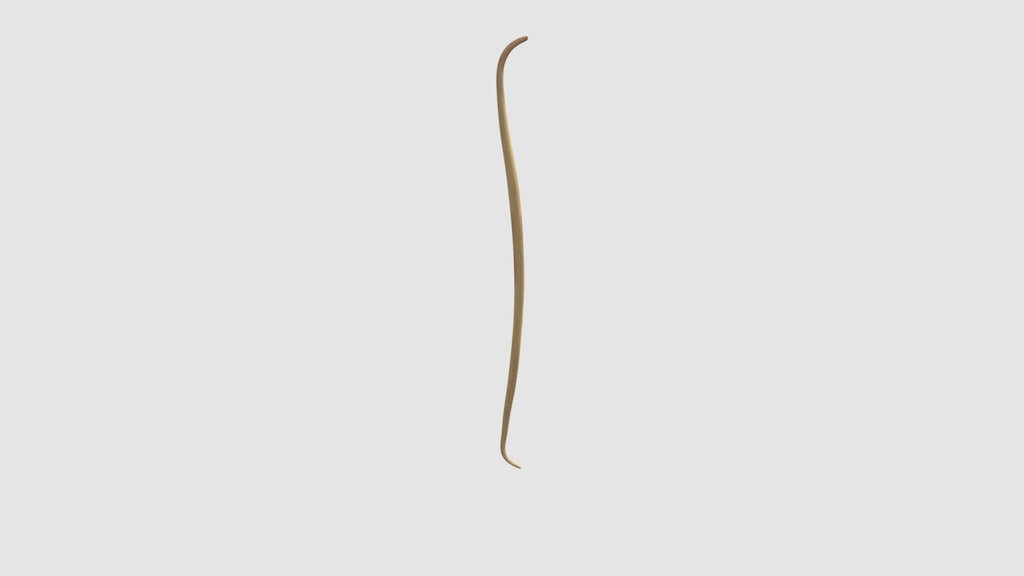 Egyptian Bow (Perhaps also Nubian)