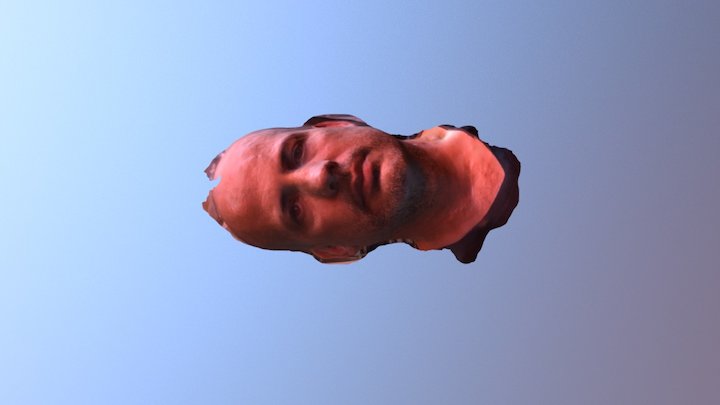 Cara de pau 3D Model