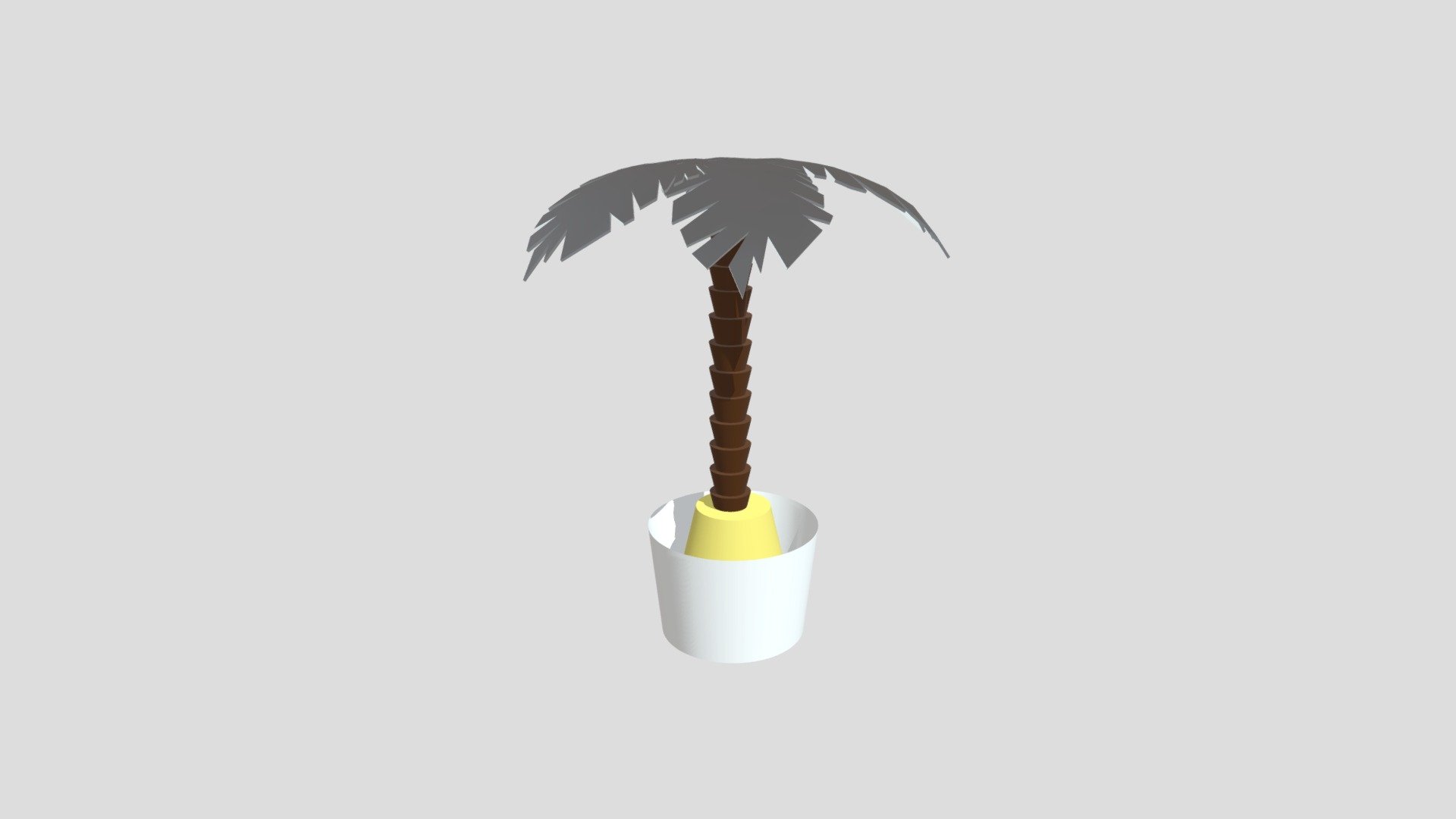 Palm Tree