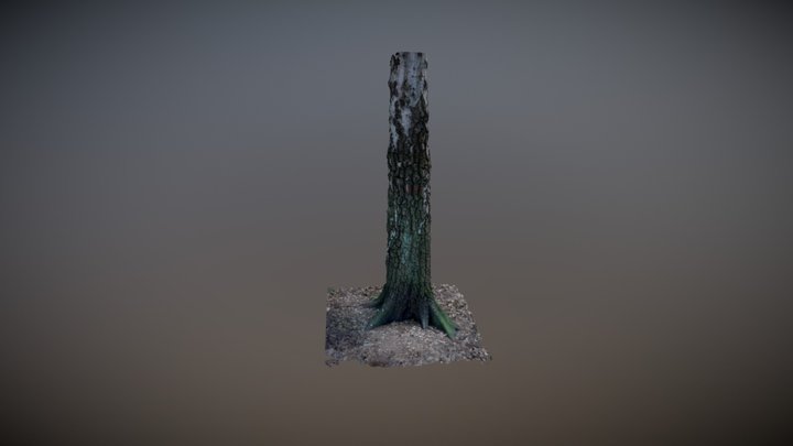 Tree3 3D Model