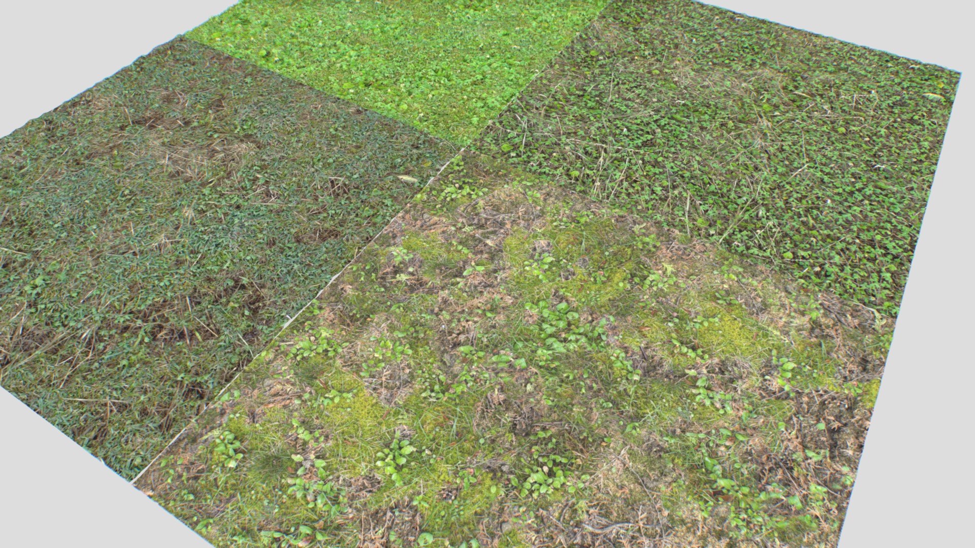 3D model Forest ground PBR Pack 11 Textures - This is a 3D model of the Forest ground PBR Pack 11 Textures. The 3D model is about a field of grass.