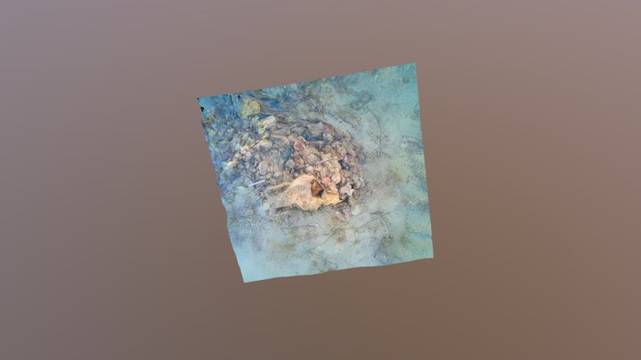 Anfora Montalto 3D Model