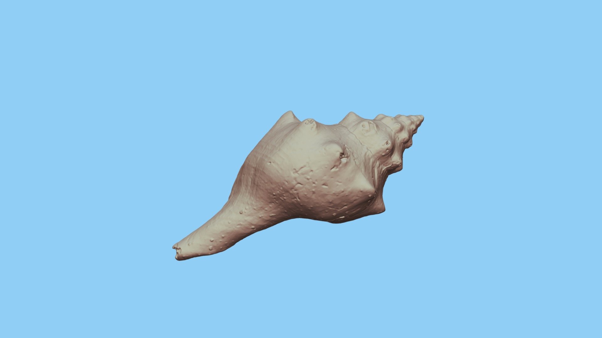 Shell-500k