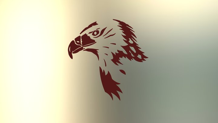 Peregrine Falcon (Shaheen) - eBird
