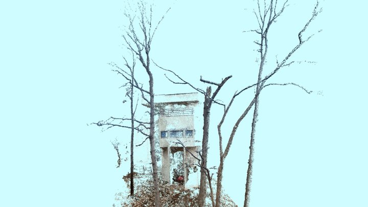 Storm Damage 3D Model