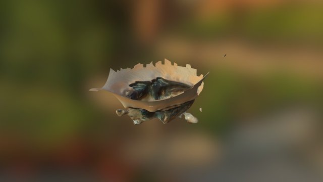 MODEL 3D Model