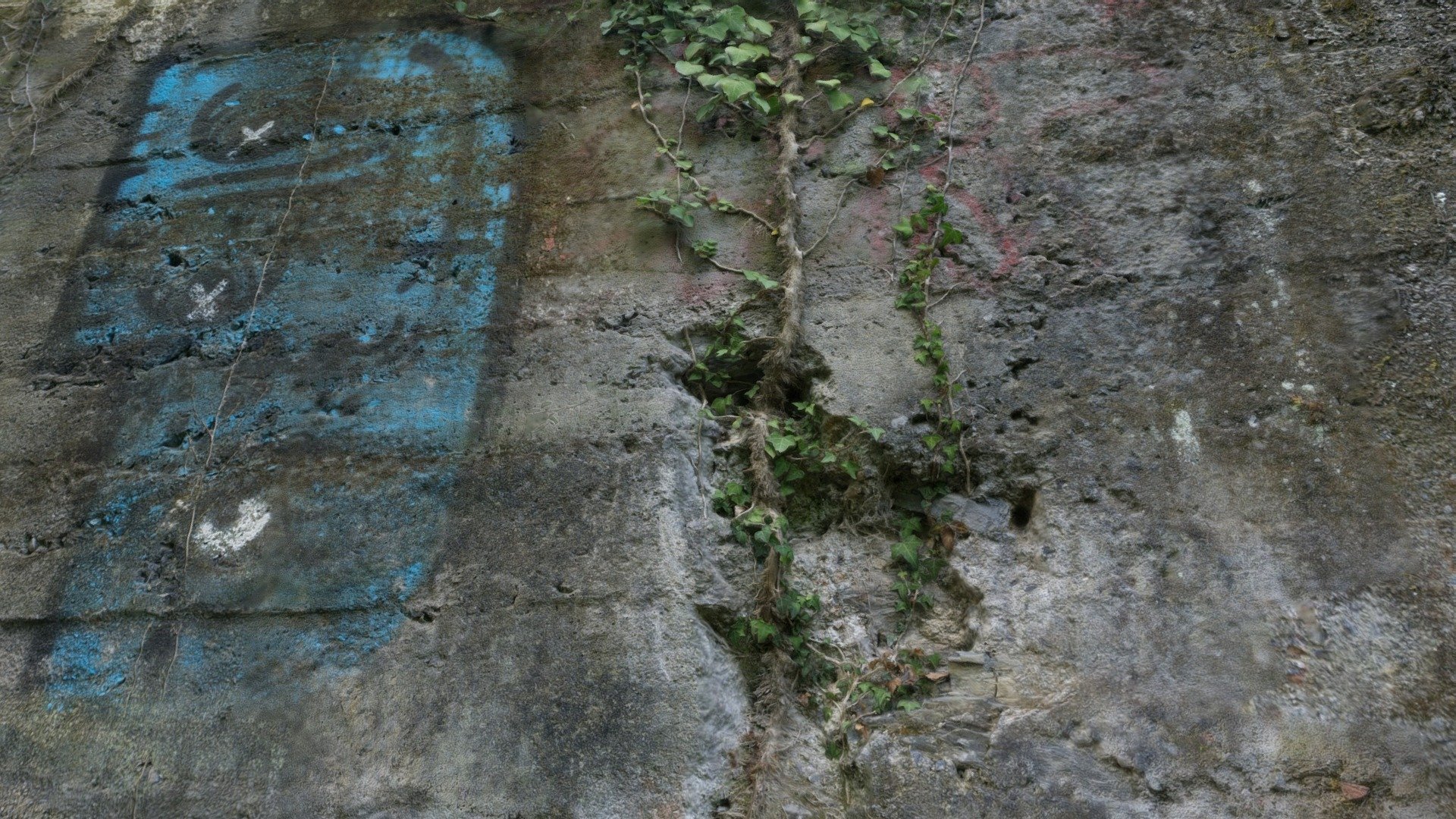 Ivy graffiti wall