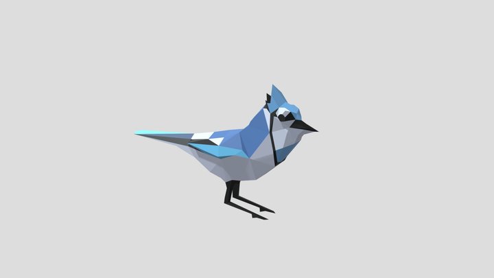 Low Poly Blue Jay 3D Model