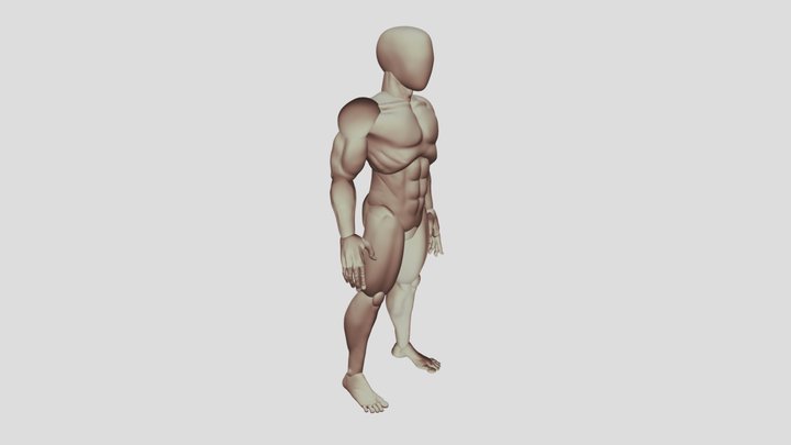 Man Body 3D Model