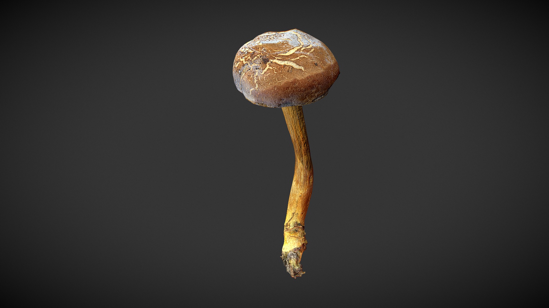 3D model Mushroom 10 - This is a 3D model of the Mushroom 10. The 3D model is about a mushroom with a dark background.