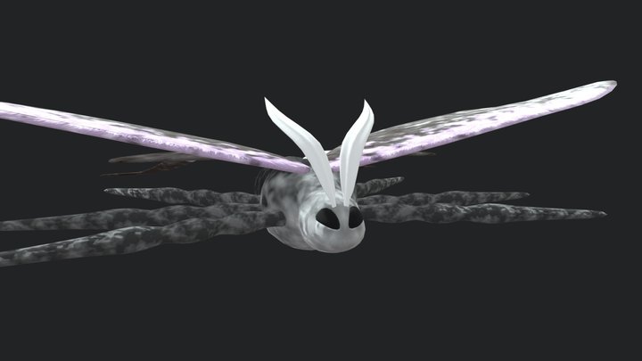 Devin the moth 3D Model