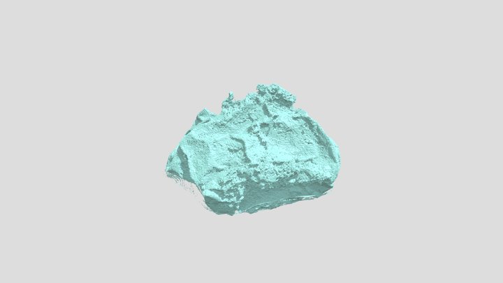 Mongolian embryo-like fossil 3D Model