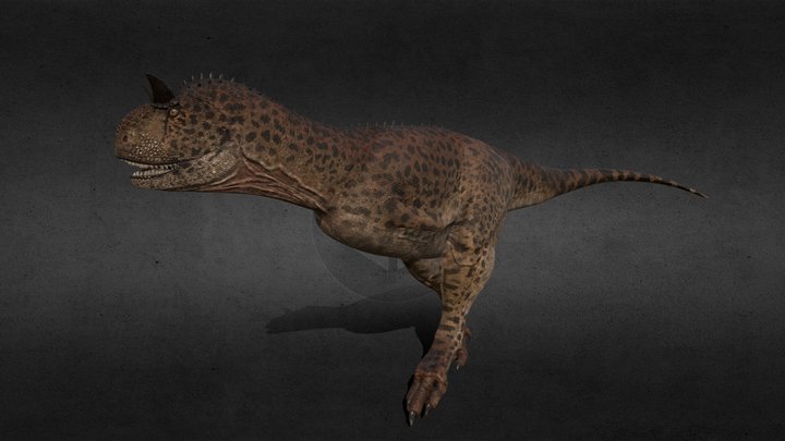 Carnotaurus satrei 3D Model
