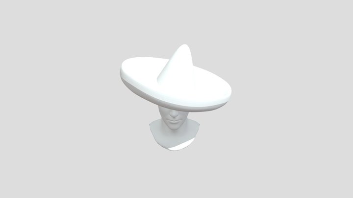 Sombrero Two Tilted 3D Model