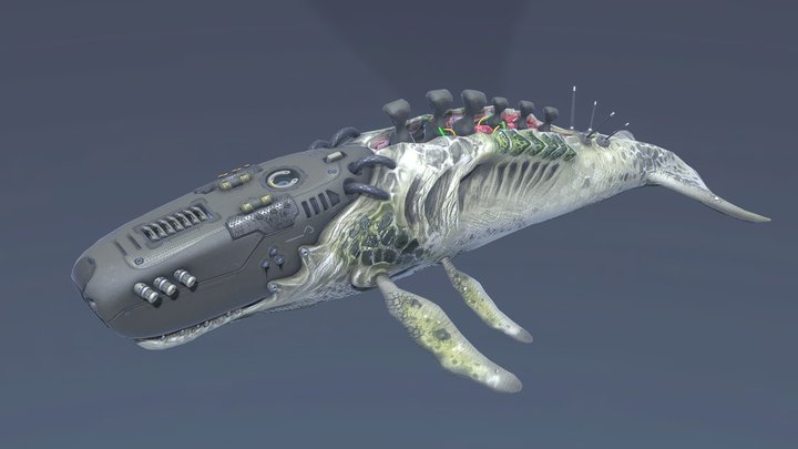 Biomechanical Whale Animated 3D Model