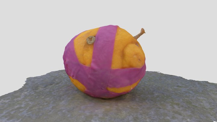 Lemon 3D Model