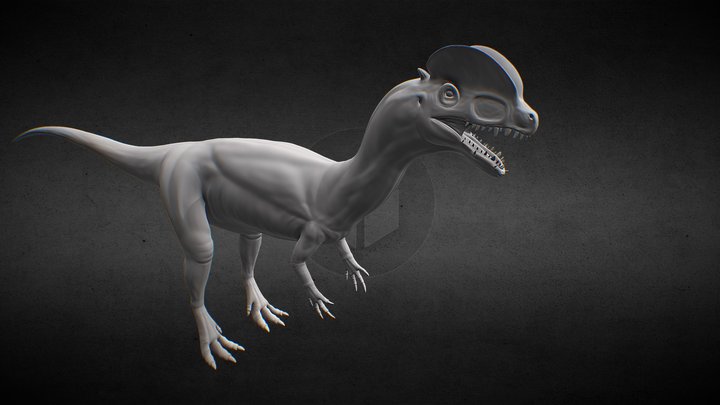 Sculpted Anatomy Dilophosaurus Skin Base Model 3D Model