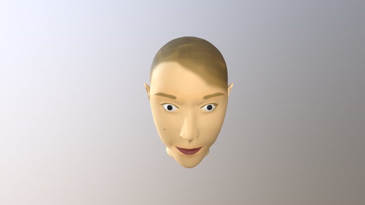 Head Model 3D Model